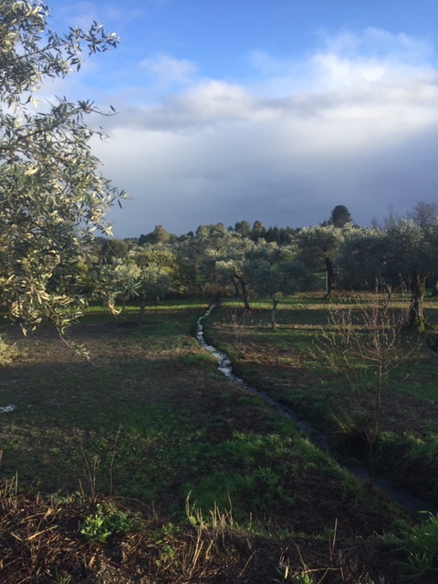 Sunshine After the Rain – Project Portugal